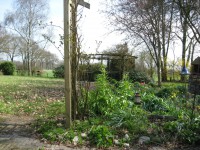 /album/fotos/tuinfotos-002-jpg/